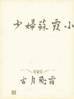 少妇苏霞小说