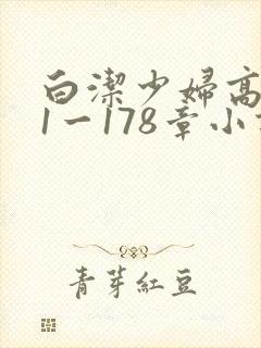 白洁少妇高义第1一178章小说