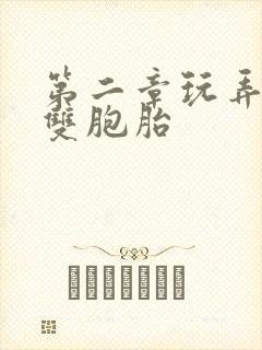 第二章玩弄少妇双胞胎