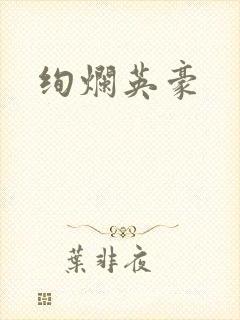 绚烂英豪封面