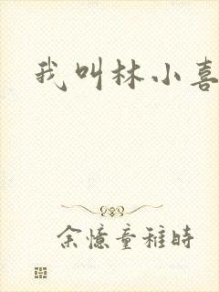 我叫林小喜17