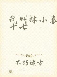 我叫林小喜今年十七