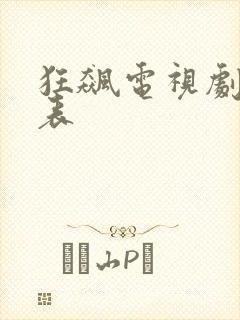 狂飙电视剧演员表封面
