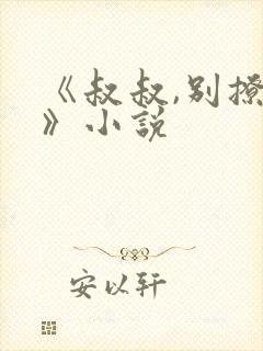 《叔叔,别撩我》小说