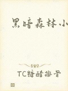 黑暗森林小说