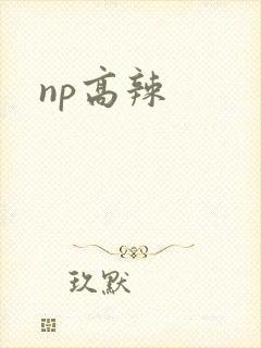 np高辣