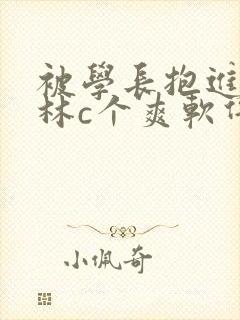 被学长抱进小树林c个爽软件封面