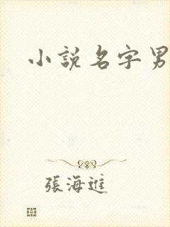 小说名字男生