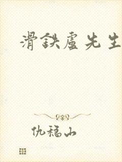 滑铁卢先生