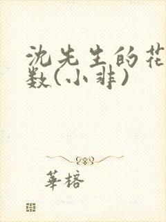 沈先生的花式调数(小非)