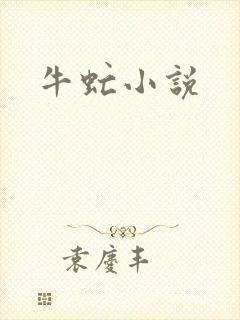 牛虻小说