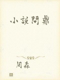 小说问鼎