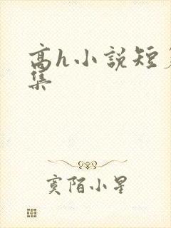 高h小说短篇合集