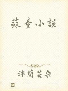 苏童小说