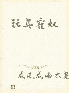 玩具宠奴