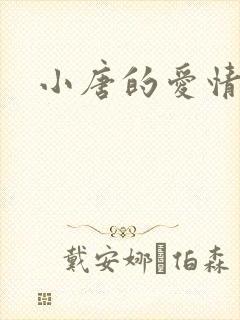 小唐的爱情史