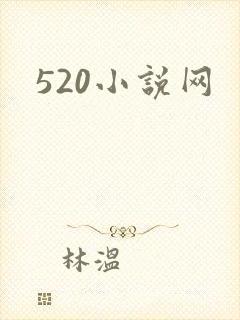 520小说网
