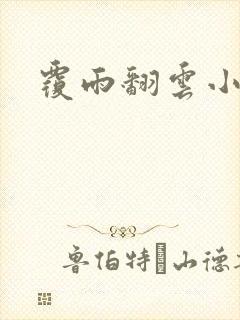 覆雨翻云小说