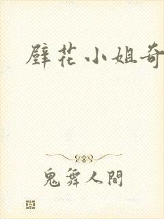 壁花小姐奇遇记封面