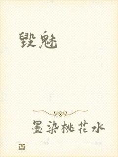 毁魅