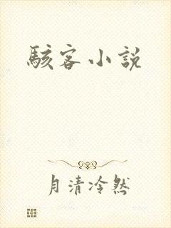骇客小说