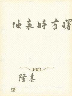 他来时有曙光封面