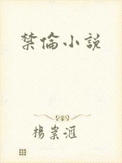 禁伦小说封面