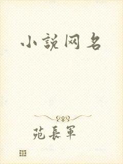 小说网名