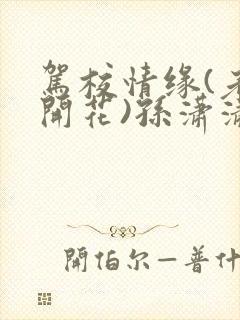 驾校情缘(老树开花)孙潇潇第一次趣笔阁