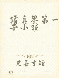 修真界第一病秧子小说封面