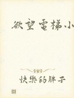 欲望电梯小说