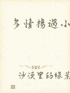 多情杨过小说封面