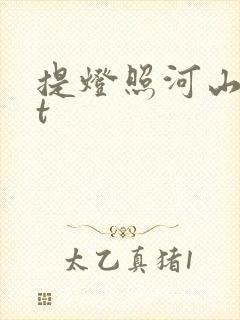 提灯照河山txt