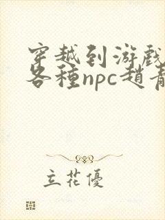 穿越到游戏里和各种npc赵青蔓封面