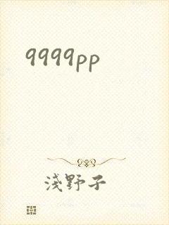 9999pp封面