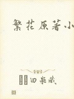 繁花原著小说