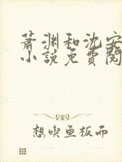 萧渊和沈安安的小说免费阅读