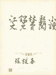 江铭林熙小说全文免费阅读封面