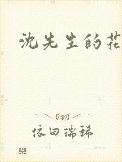 沈先生的花式封面