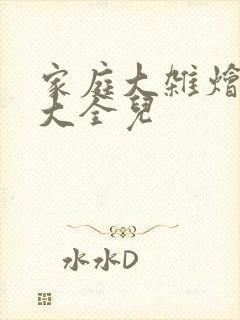 家庭大杂烩小说大全儿