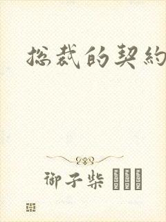 总裁的契约妻