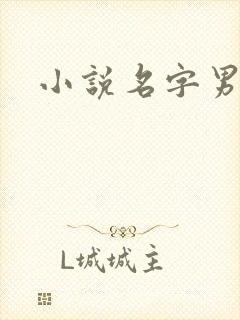 小说名字男生