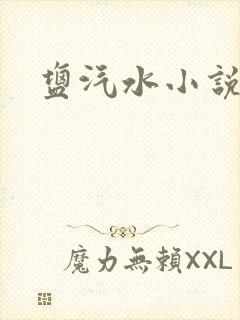 盐汽水小说