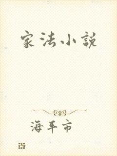 家法小说