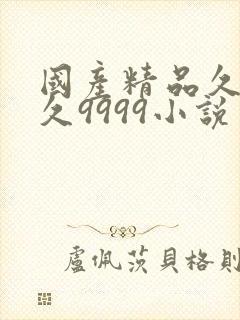 国产精品久久久久9999小说
