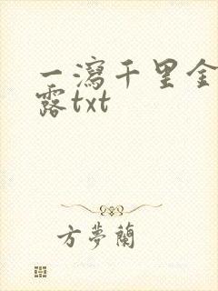 一泻千里金银花露txt