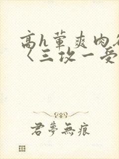 高h荤爽肉欲文〈三攻一受