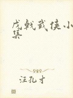 戊戟武侠小说全集封面
