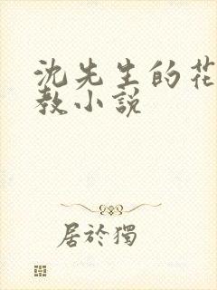 沈先生的花式调教小说