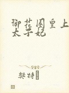 御花园皇上撞着太子妃封面